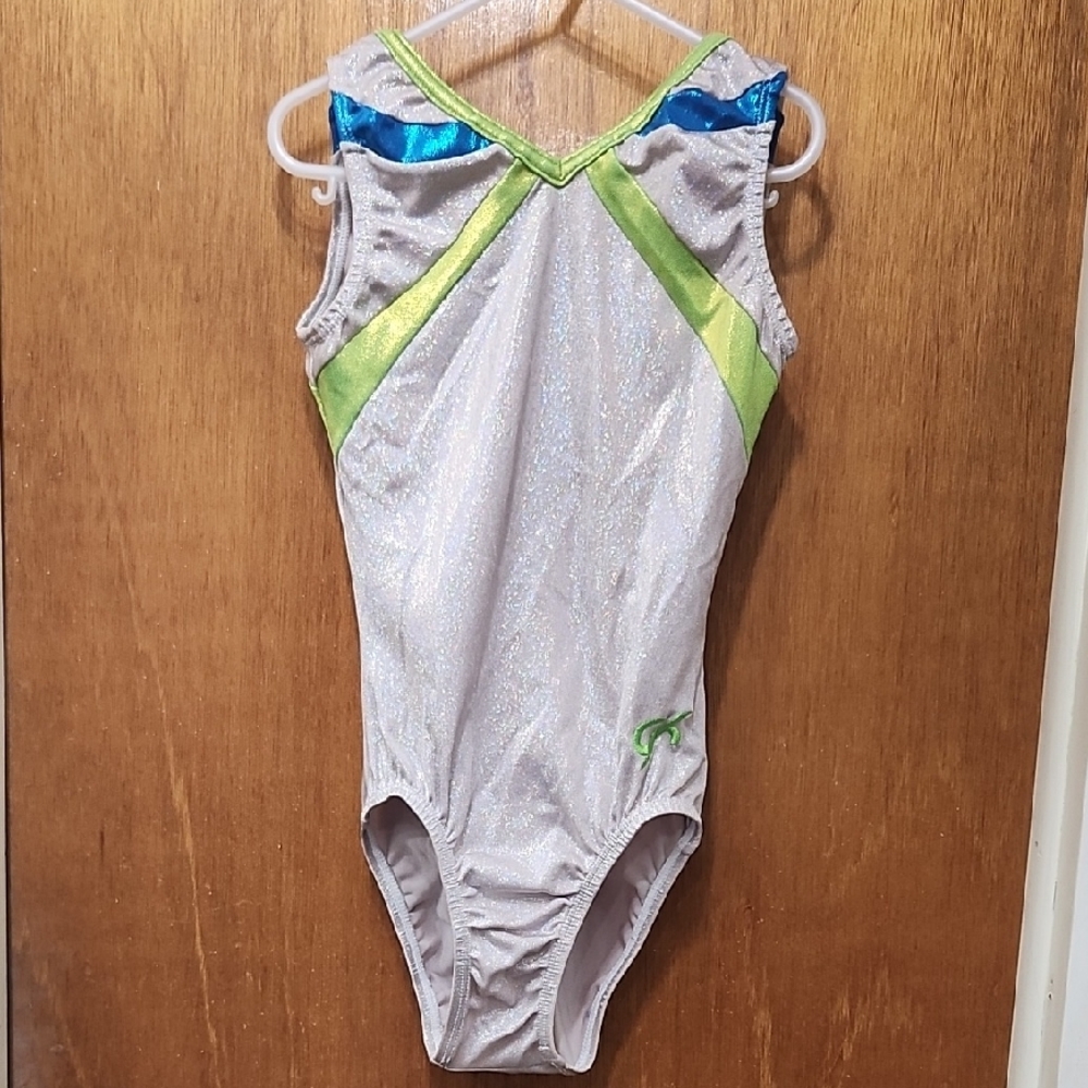 GK Silver Leotard with Blue and Green Accents